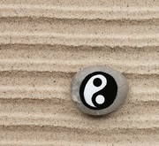 yin yang 2
